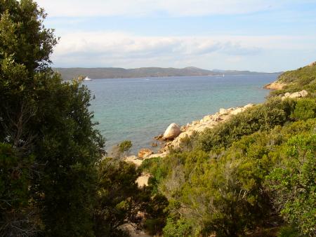 ma corse